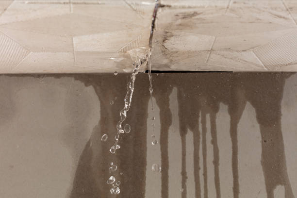 Professional Burst Pipe Cleanup technician working in Springfield Gardens, NY